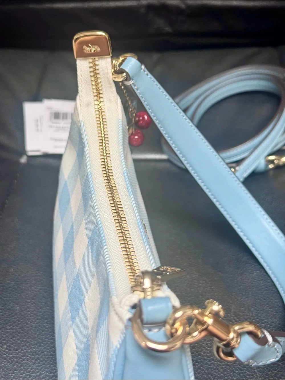 NWT Coach Teri Mini Crossbody Bag With Gingham Print And Charm CEN05 Blue Multi - Picture 10 of 15